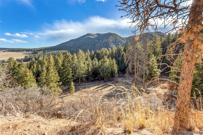 Mountain Ranch Rd, Larkspur, CO 80118
