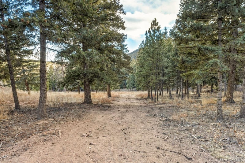 Mountain Ranch Rd, Larkspur, CO 80118