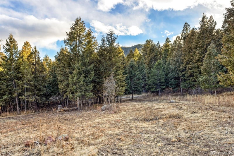 Mountain Ranch Rd, Larkspur, CO 80118