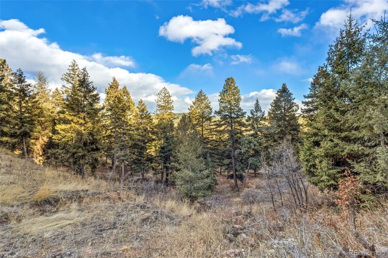Mountain Ranch Rd, Larkspur, CO 80118