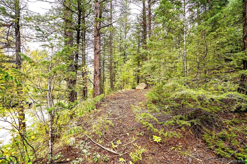 10862-10872 Twin Spruce Rd, Golden, CO 80403