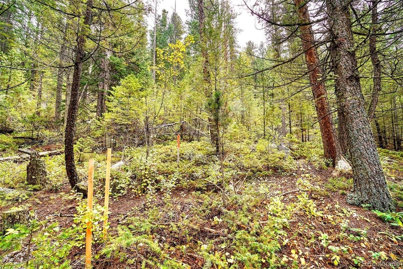 10862-10872 Twin Spruce Rd, Golden, CO 80403