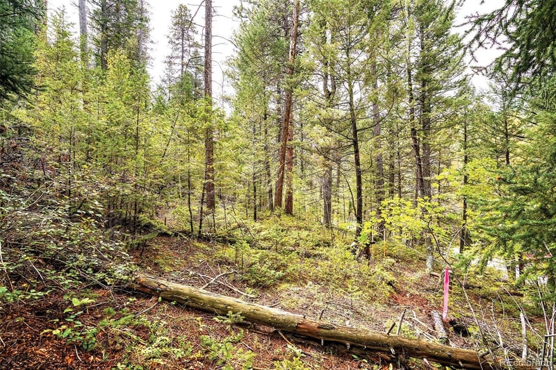 10862-10872 Twin Spruce Rd, Golden, CO 80403