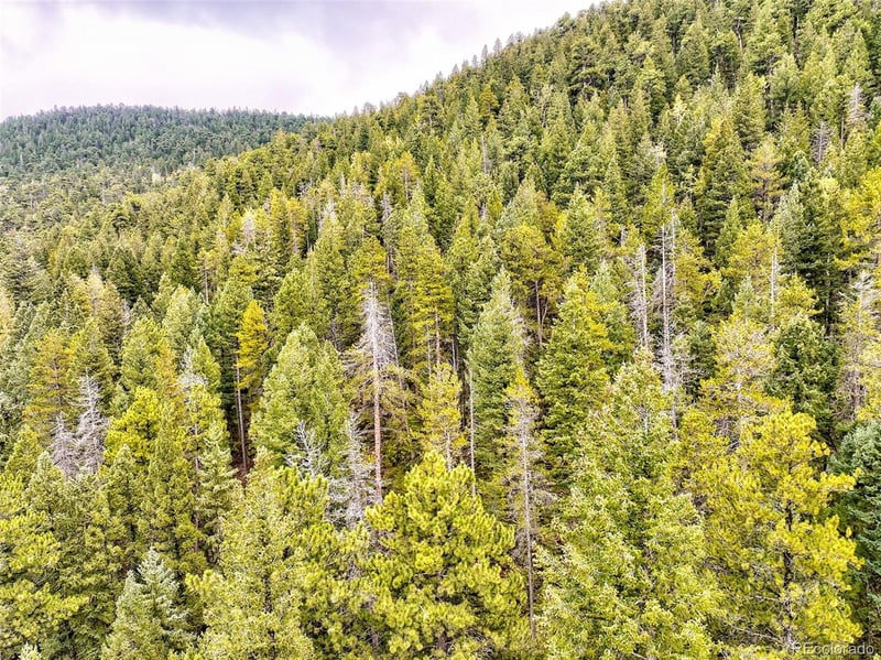 10862-10872 Twin Spruce Rd, Golden, CO 80403