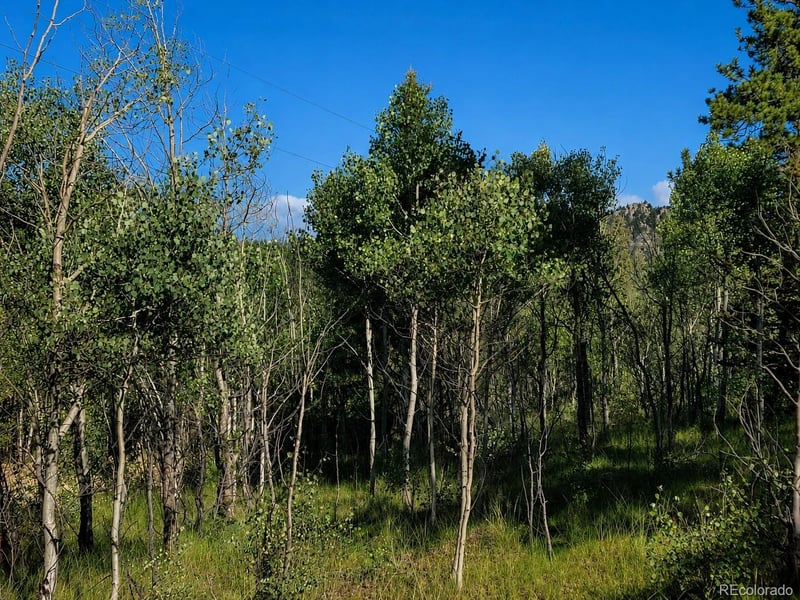 837 Concord Dr, Jefferson, CO 80456
