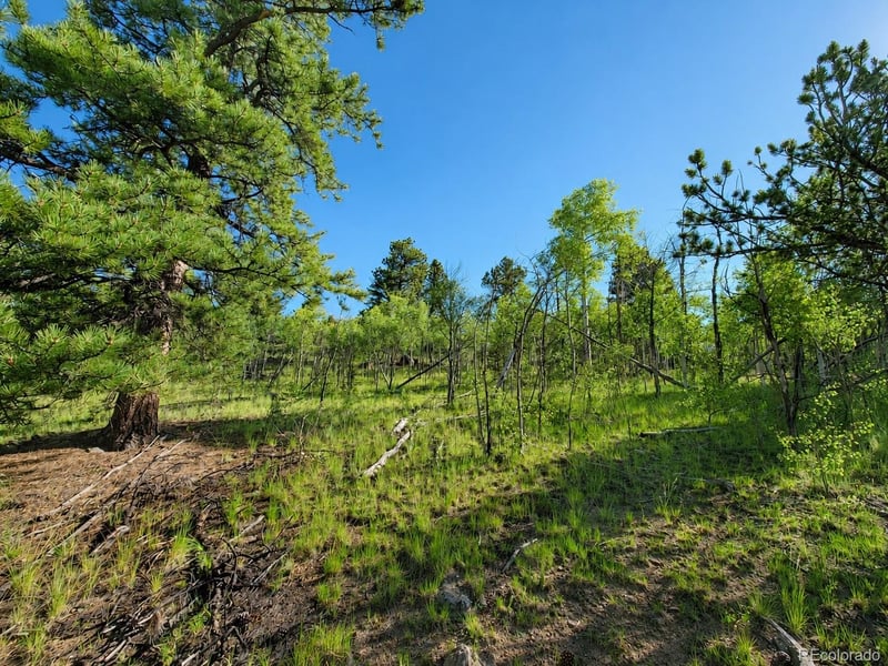 837 Concord Dr, Jefferson, CO 80456