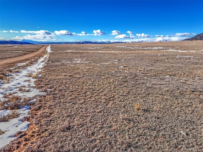 Quail , Hartsel, CO 80449