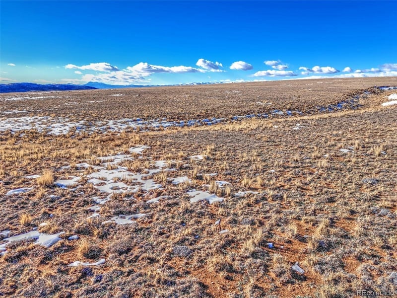 Quail , Hartsel, CO 80449