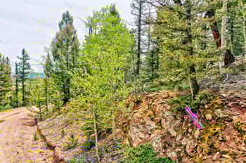 28 Old Squaw Rd, Jefferson, CO 80456