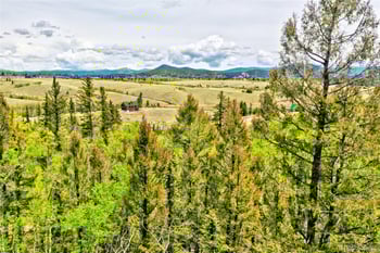 28 Old Squaw Rd, Jefferson, CO 80456