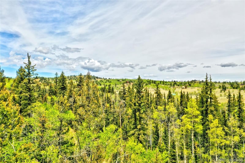 28 Old Squaw Rd, Jefferson, CO 80456