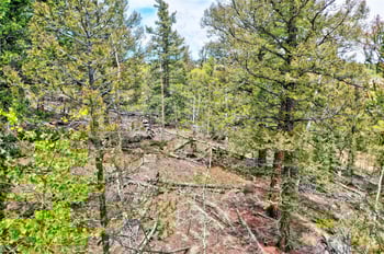 28 Old Squaw Rd, Jefferson, CO 80456