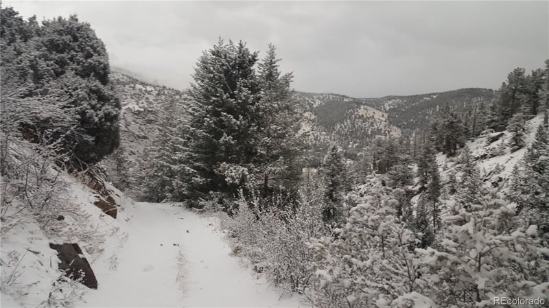 Ohio Gulch Trl, Dumont, CO 80436