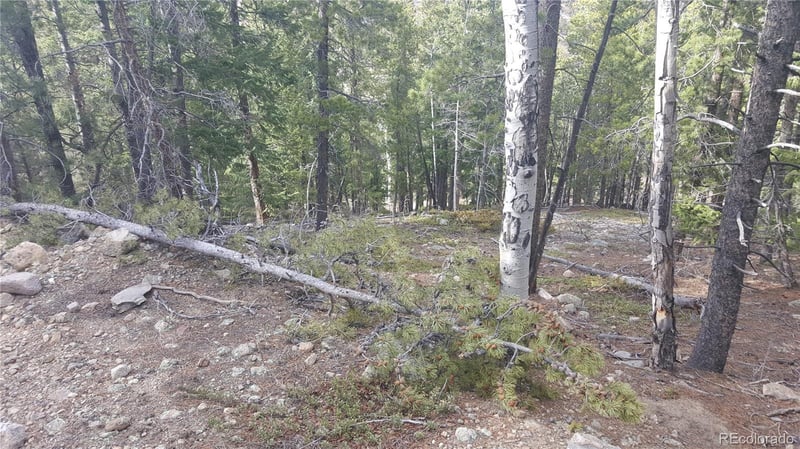 Ohio Gulch Trl, Dumont, CO 80436