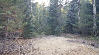 Ohio Gulch Trl, Dumont, CO 80436