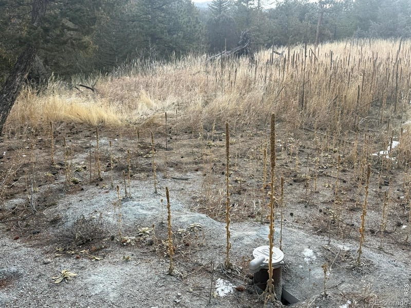 766 Lakeshore Dr, Boulder, CO 80302