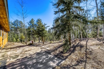 140 Wrangler Creek Cir, Florissant, CO 80816