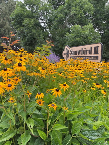 3322 Ammons St #206, Lakewood, CO 80227