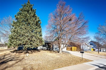 6177 65th Ave, Arvada, CO 80003
