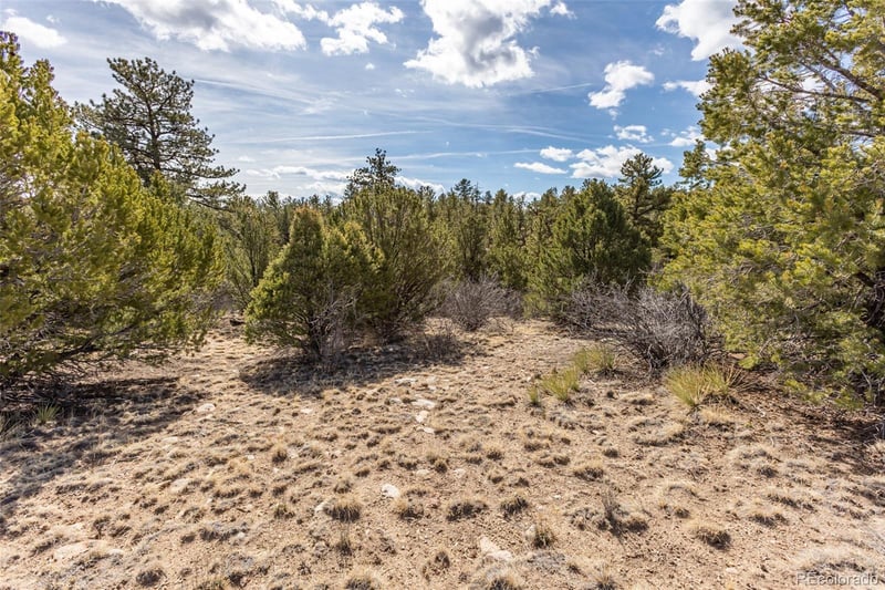 13584 County Road 261b, Nathrop, CO 81236