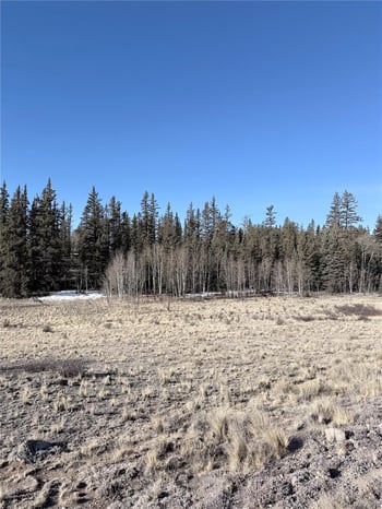 50 Rawhide Way, Jefferson, CO 80456