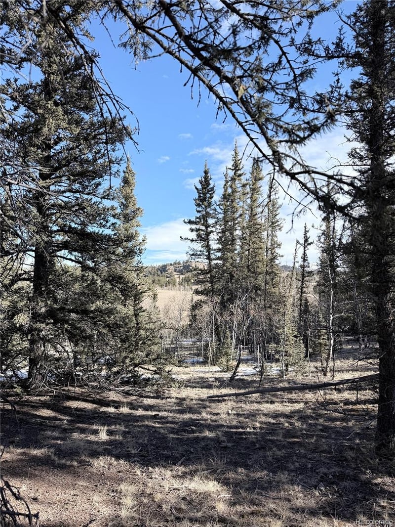 50 Rawhide Way Lot 28, Jefferson, CO 80456