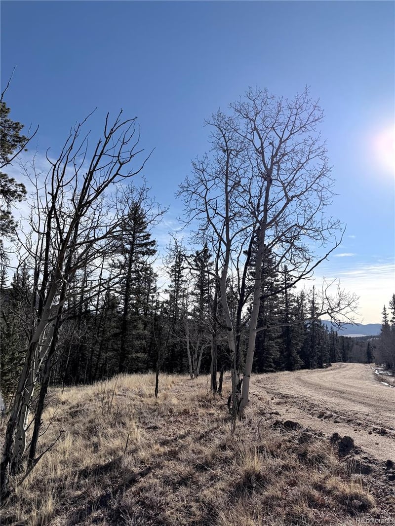50 Rawhide Way Lot 28, Jefferson, CO 80456