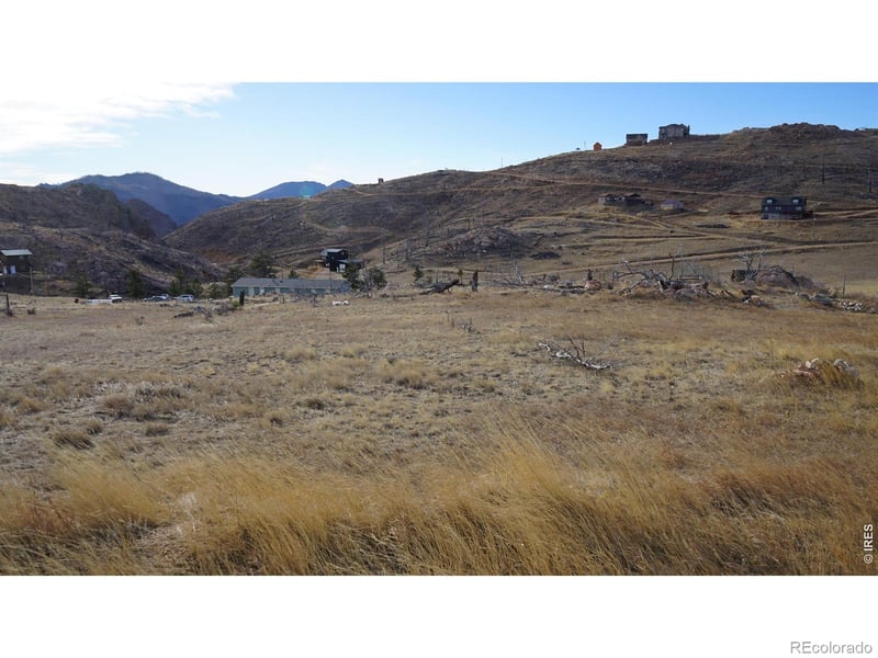 654 Horse Mountain Dr, Livermore, CO 80536