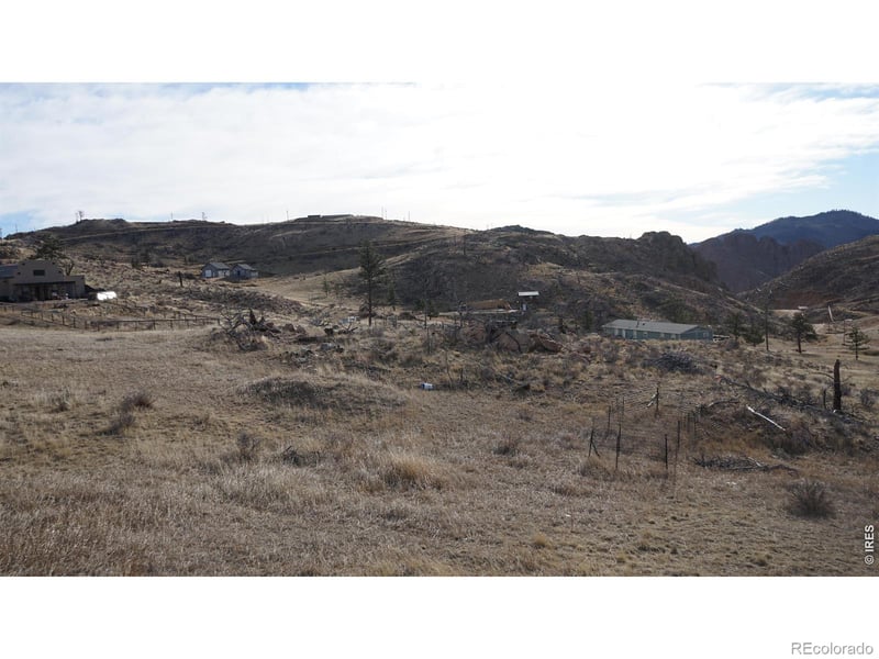654 Horse Mountain Dr, Livermore, CO 80536