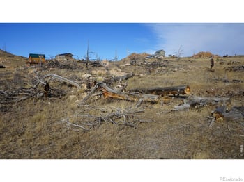 654 Horse Mountain Dr, Livermore, CO 80536