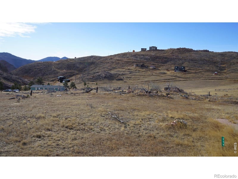 654 Horse Mountain Dr, Livermore, CO 80536