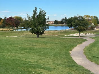 17205 109th Ave, Commerce City, CO 80022