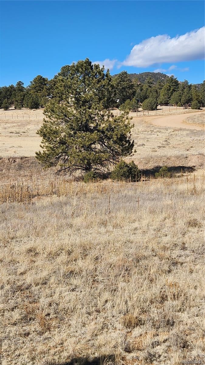 311 Kit Carson Trl, Cotopaxi, CO 81223