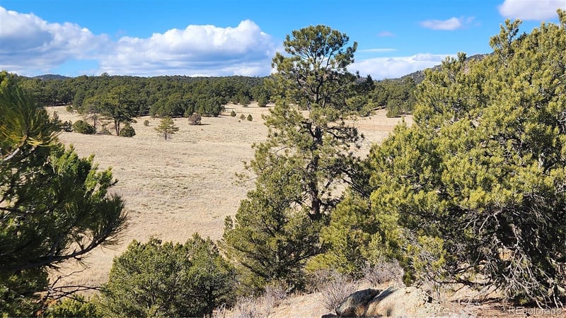 311 Kit Carson Trl, Cotopaxi, CO 81223