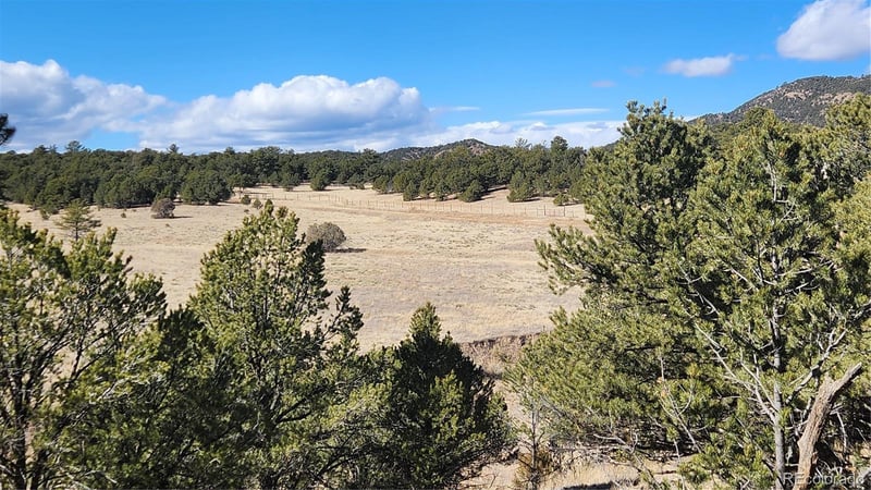 311 Kit Carson Trl, Cotopaxi, CO 81223