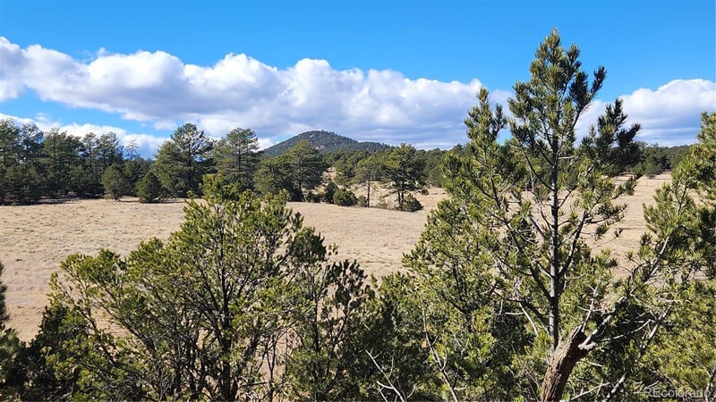 311 Kit Carson Trl, Cotopaxi, CO 81223