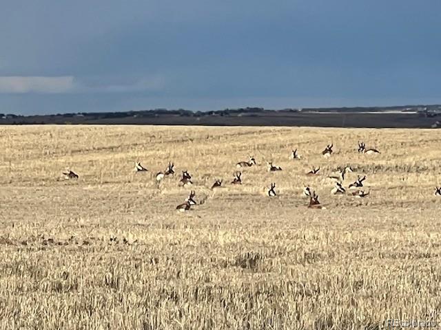 Tbd S Blaney Rd, Peyton, CO 80831