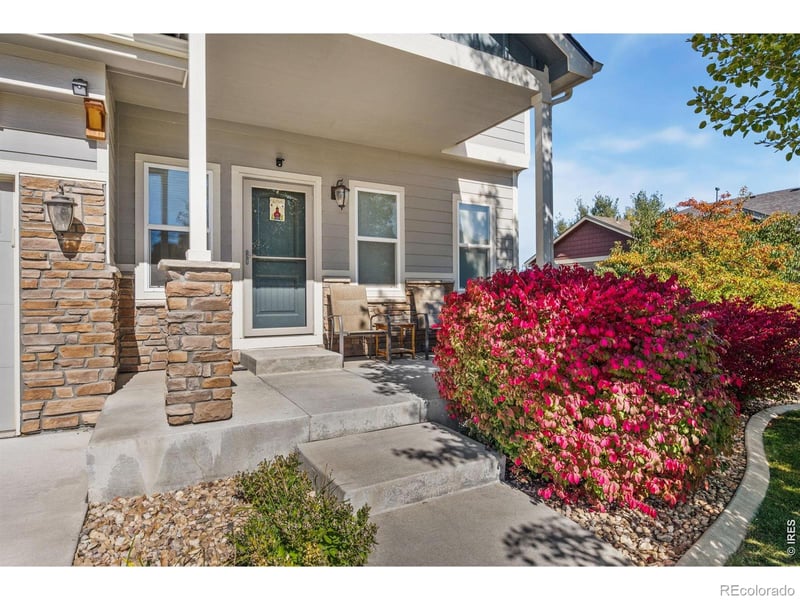 7418 Thistledown Dr, Windsor, CO 80550