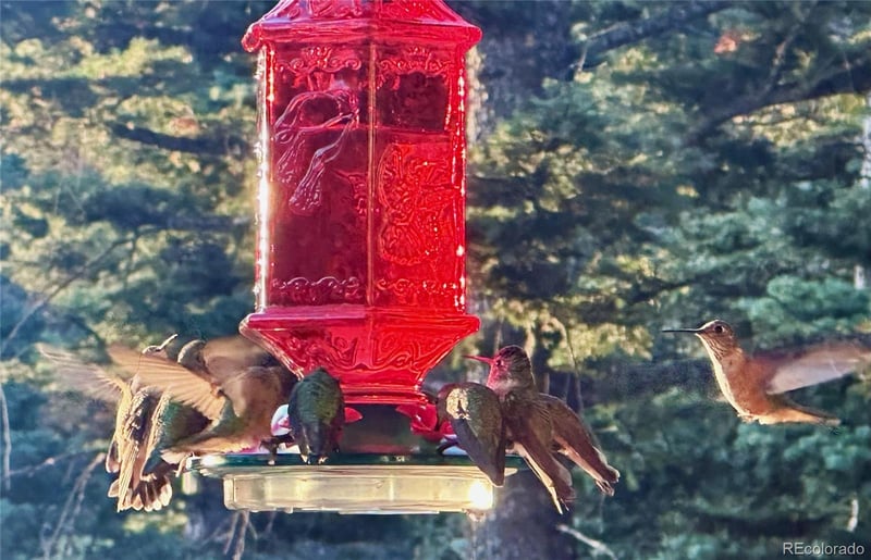 2945 Forbes Park Rd, Fort Garland, CO 81133