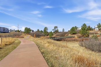 771 Bishop Pine Way, Castle Rock, CO 80104