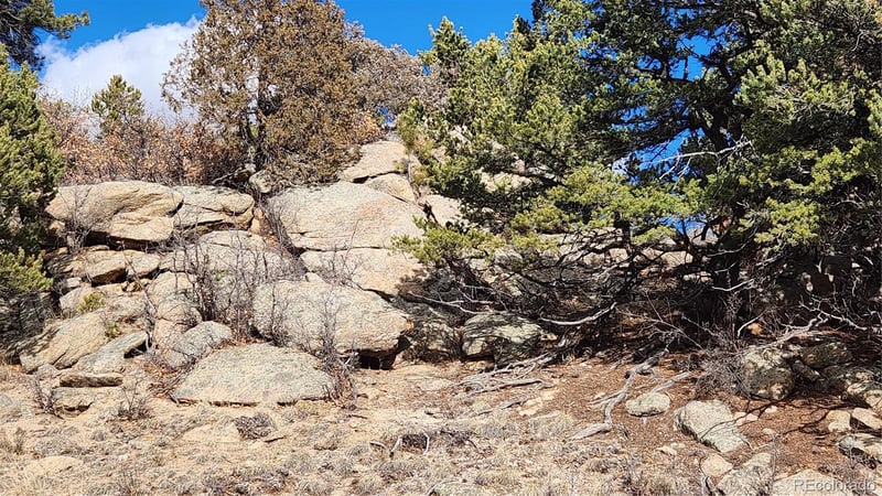 47 White Cloud Dr, Cotopaxi, CO 81223