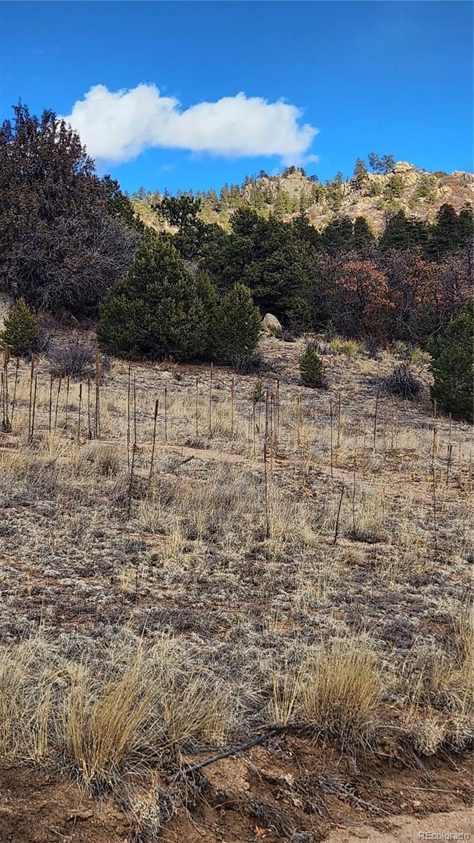 47 White Cloud Dr, Cotopaxi, CO 81223