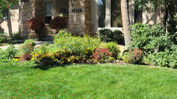 1277 Forest Trails Dr, Castle Pines, CO 80108