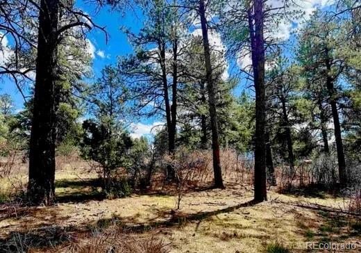 184 Aztec Dr, Pagosa Springs, CO 81147