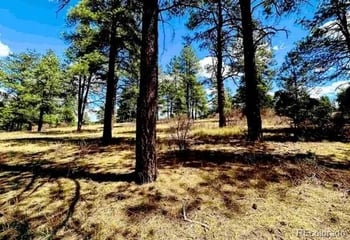 184 Aztec Dr, Pagosa Springs, CO 81147