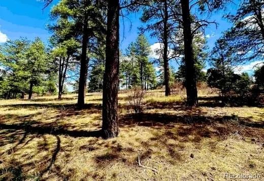 184 Aztec Dr, Pagosa Springs, CO 81147