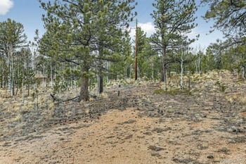 38 Mesa Ct, Bailey, CO 80421