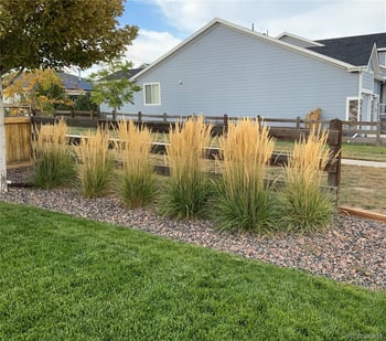 5569 Cherry Blossom Dr, Brighton, CO 80601