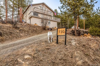 730 Bendemeer Dr, Evergreen, CO 80439