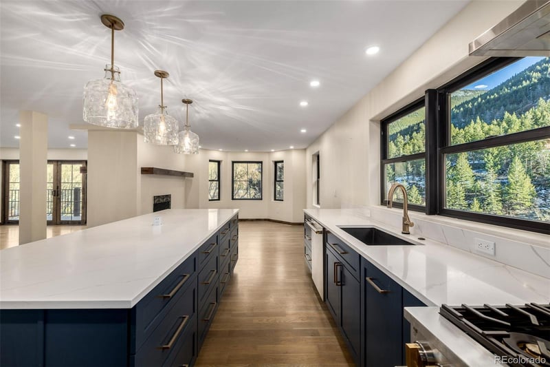 205 Loop Dr, Georgetown, CO 80444